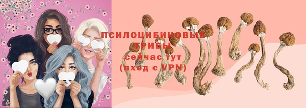 твердый Алексеевка