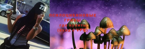 твердый Алексеевка