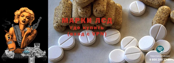 apvp Алексин